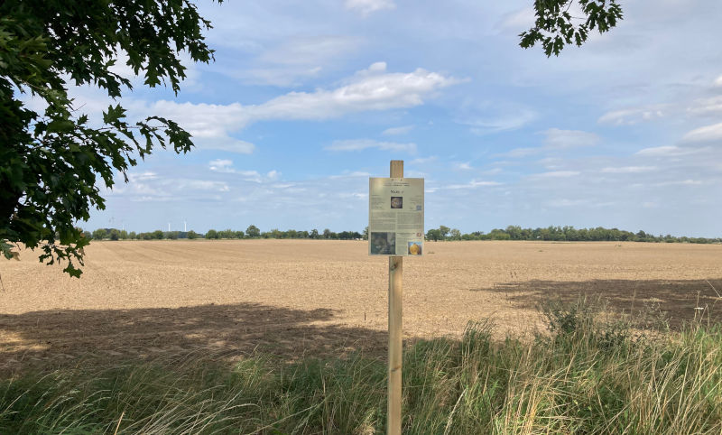 Mars, Standort: Alter Heerweg