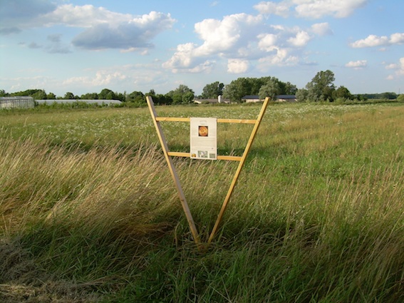 Venus 1 Standort: Strae Rohrlack/Garz, Ortseingang Rohrlack